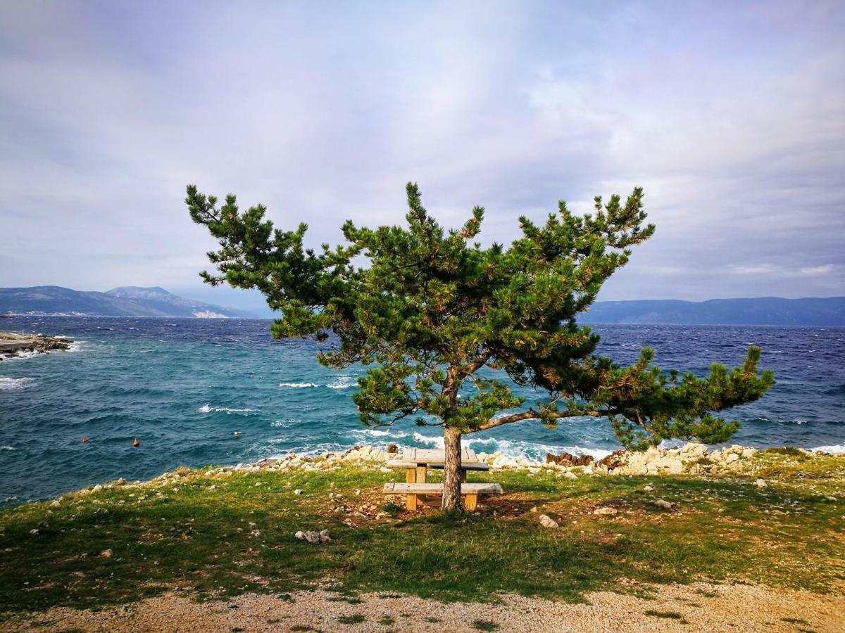Nature Ravni
